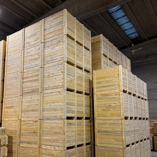 Produzione imballaggi in legno a Torino Moncalieri 